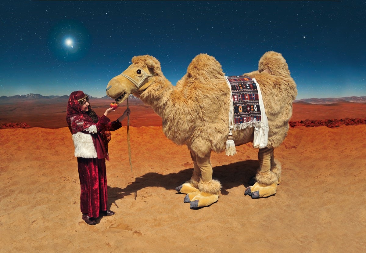 The Camel