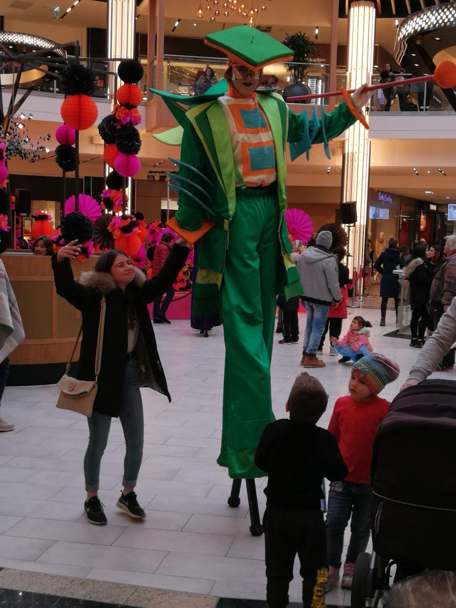 Der Drachenbändiger