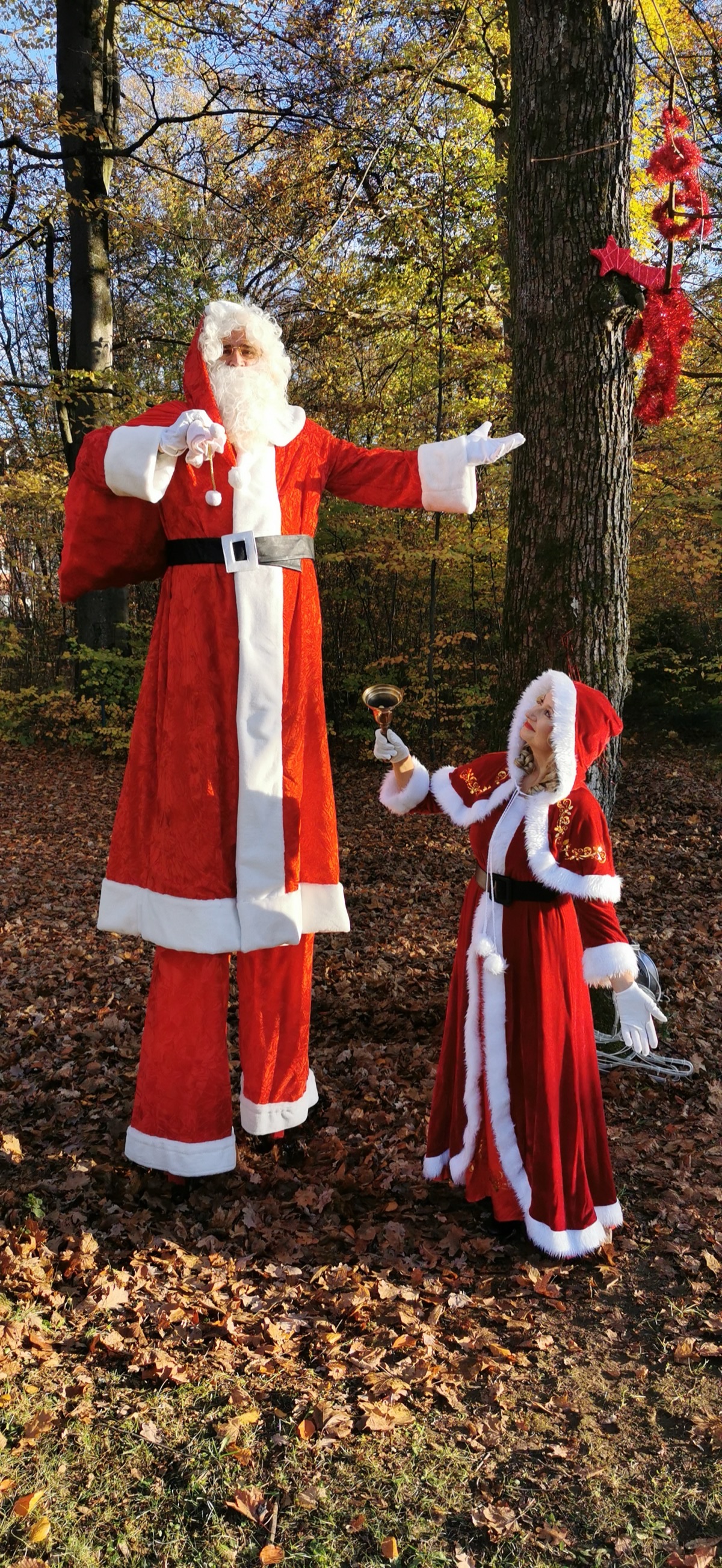 Weihnachtsgefährten