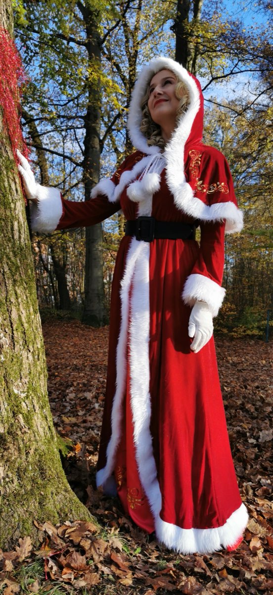 Weihnachtsgefährten