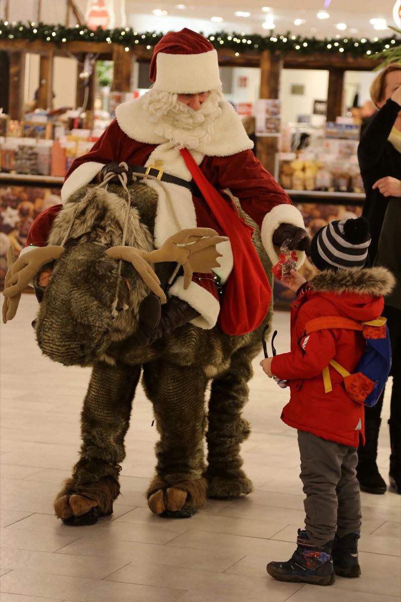 Weihnachtsgefährten