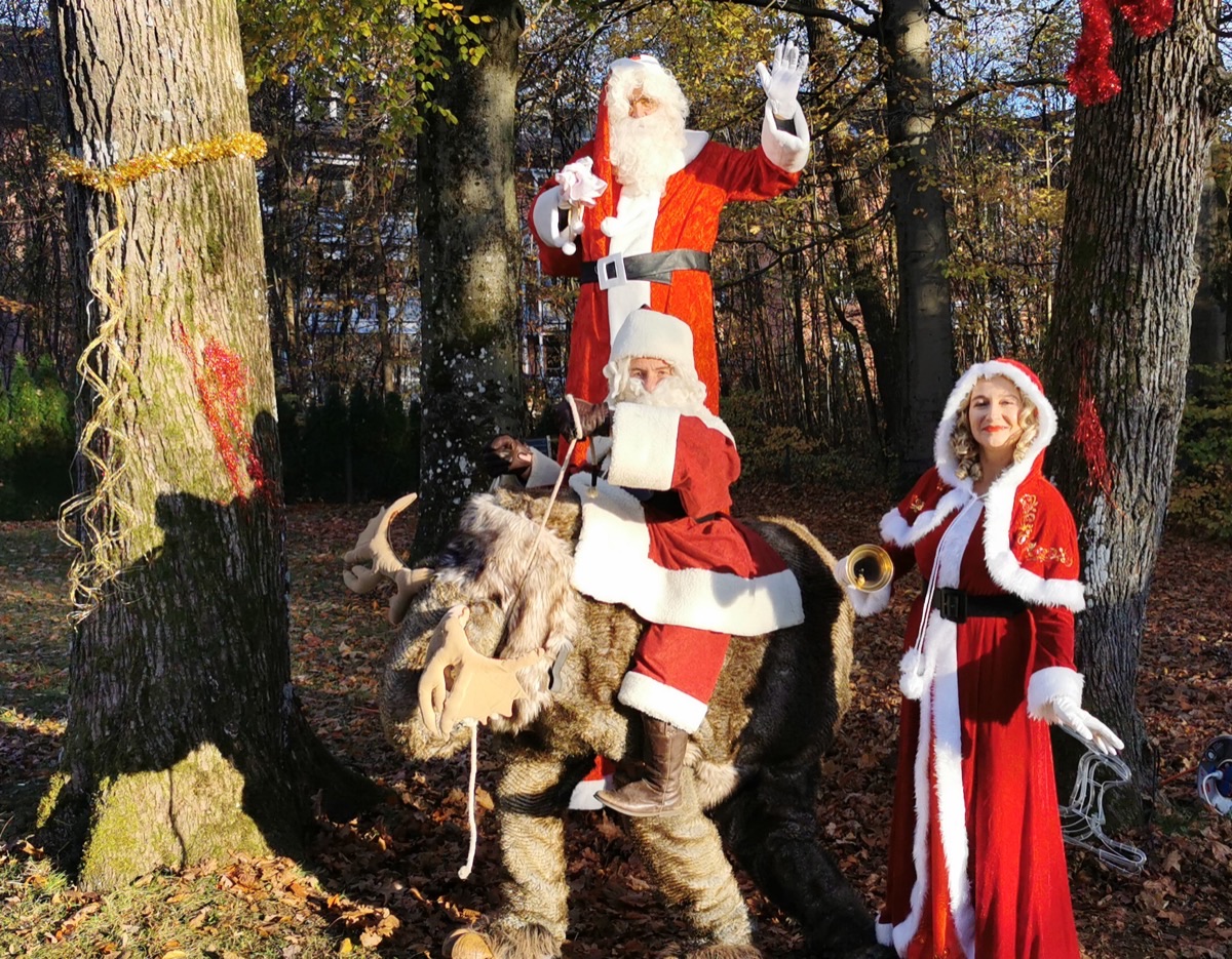 Weihnachtsgefährten