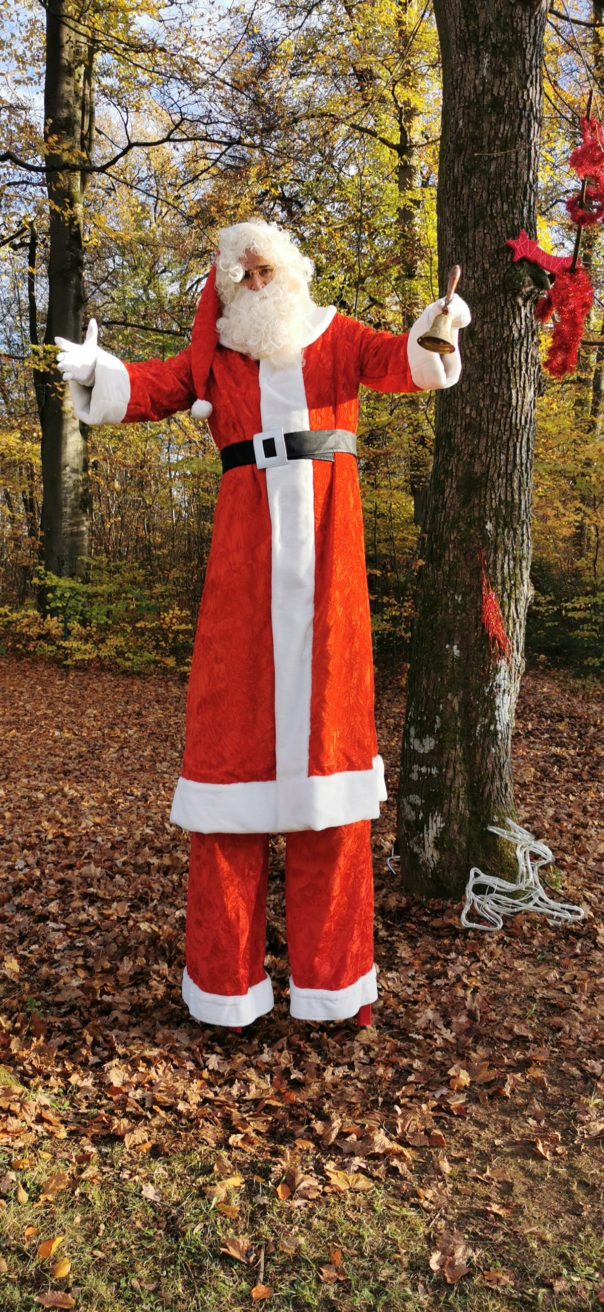 Weihnachtsgefährten