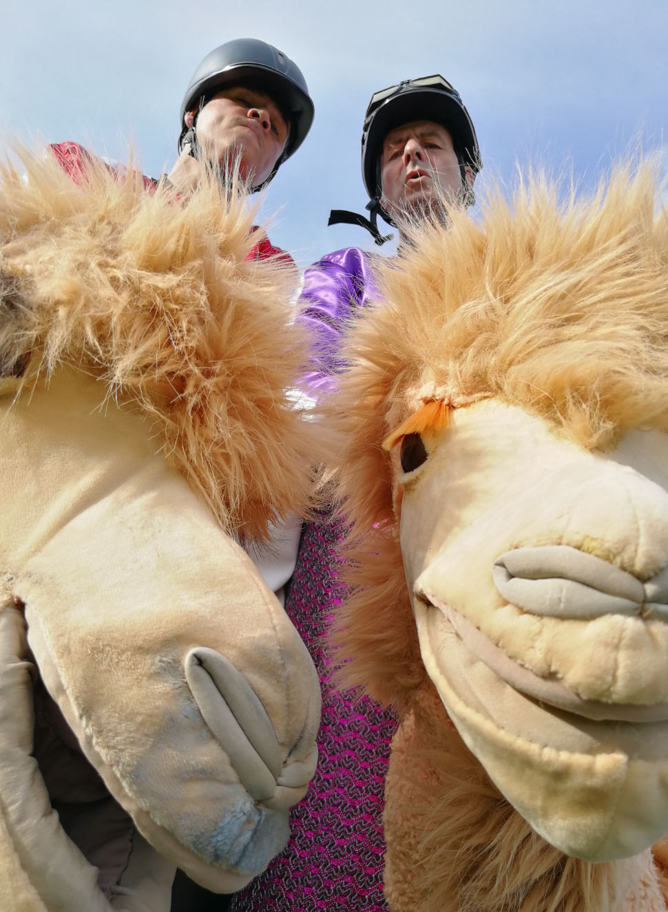 2 Jockeys auf ihren Kamelchen