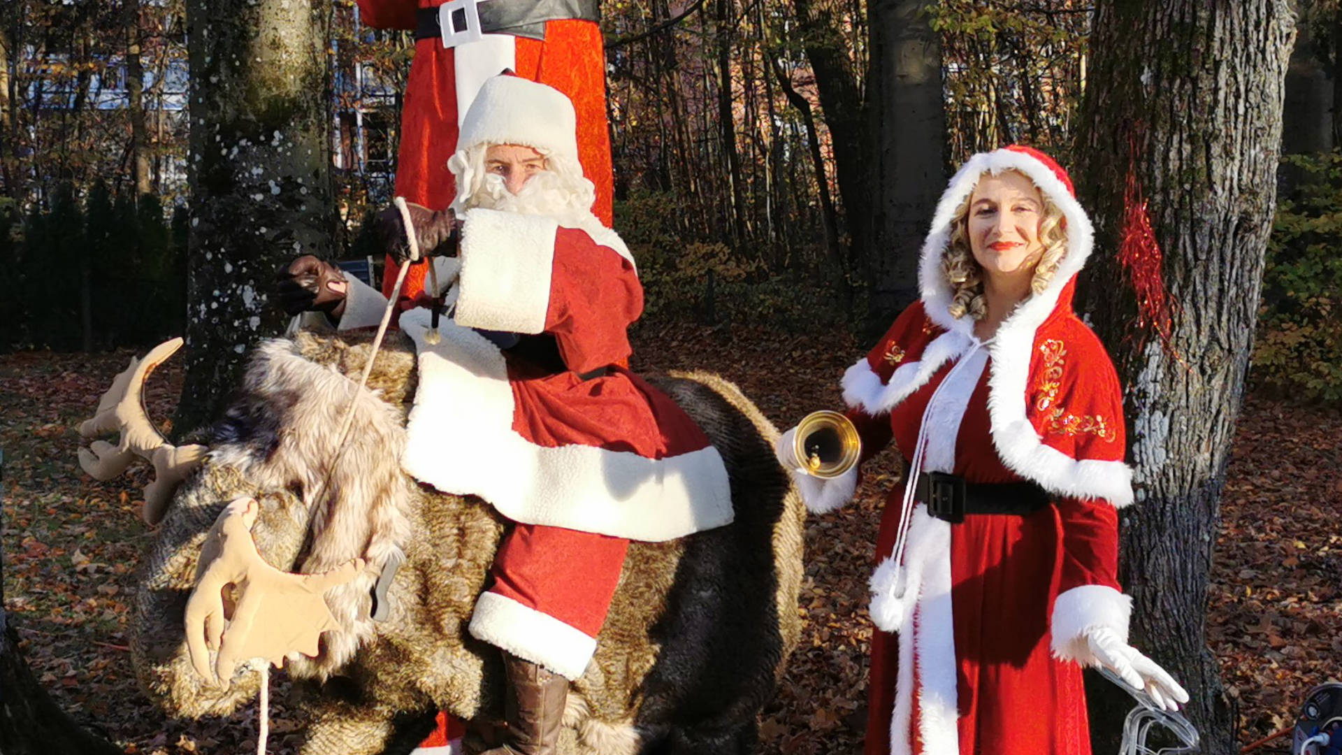 Weihnachtsgefährten