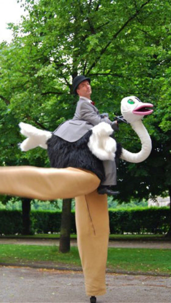 Straußendame Elisabeth